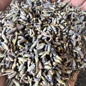 1kg Naturally Dried Extra Aromatic Loose Lavender - Image 4