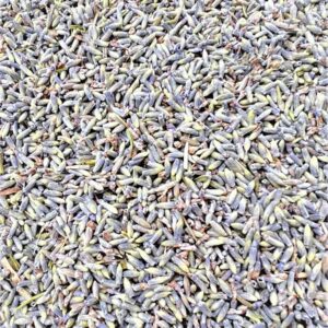 Foil Fresh Packaged Loose Dried Lavender 50 Grams by The Home of Lavender - Image 3