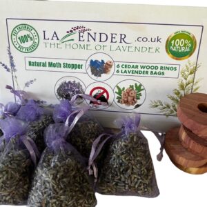Moth Repellent Gift Box Containing Lavender Bags and Cedar Wood Rings